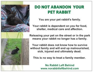 family postcard new back