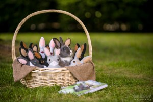 Jingles in basket 300