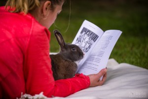 Jingles reading book 351