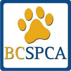 SPCA logo