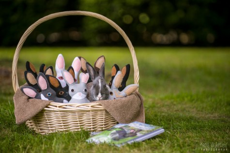 Jingles in basket 292