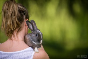 Jingles on shoulder 325