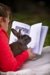 Jingles reading book 345